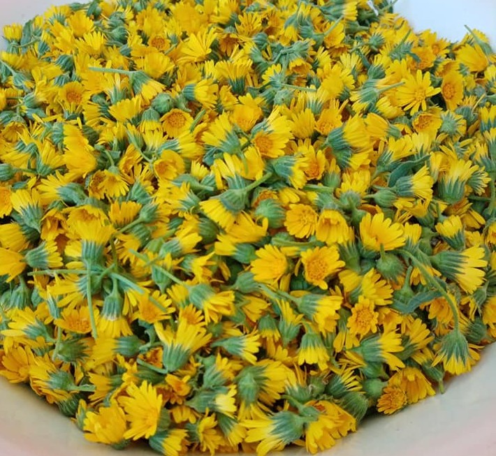 calendula-amethic
